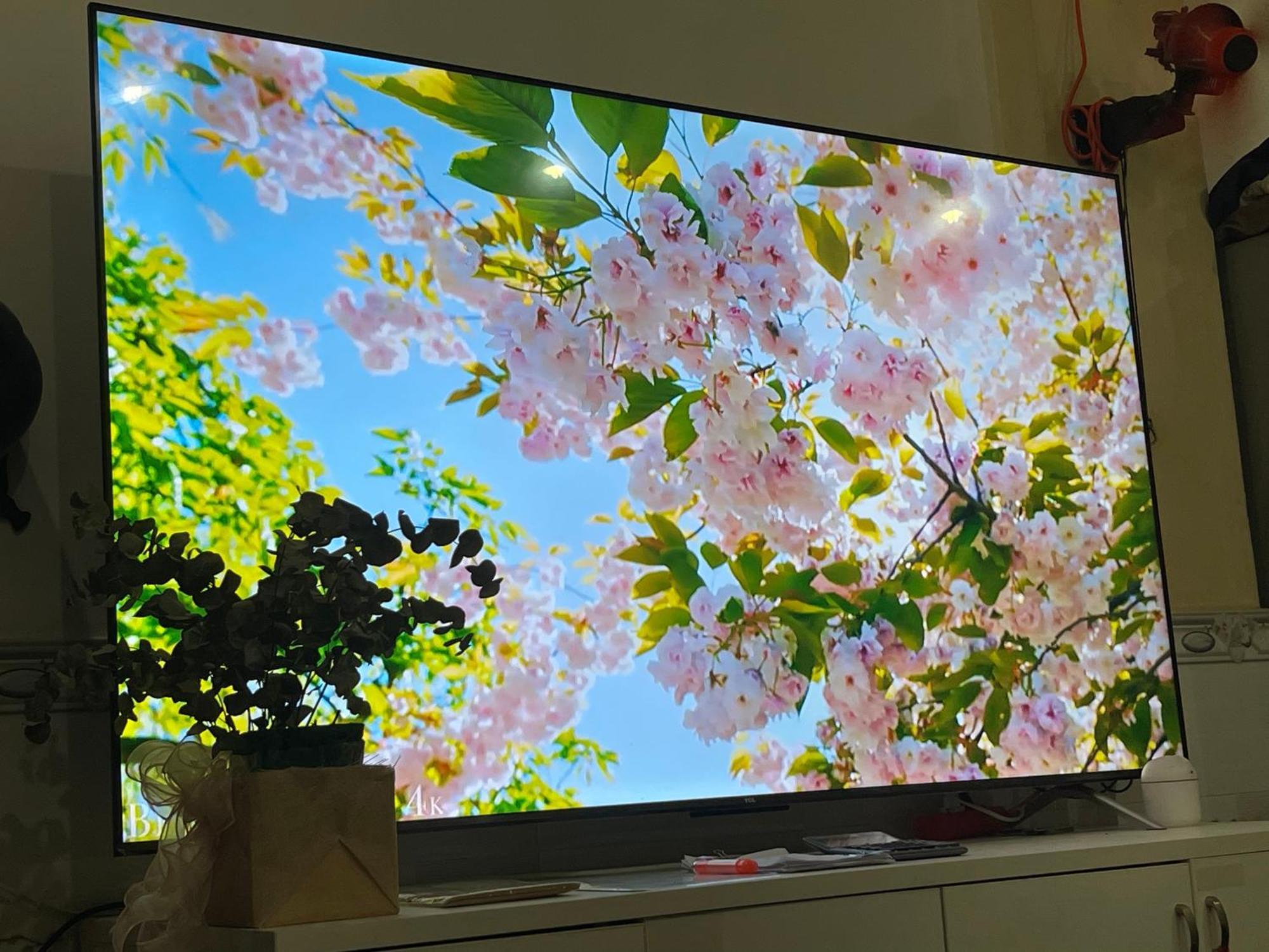花ren TP. Hồ Chí Minh